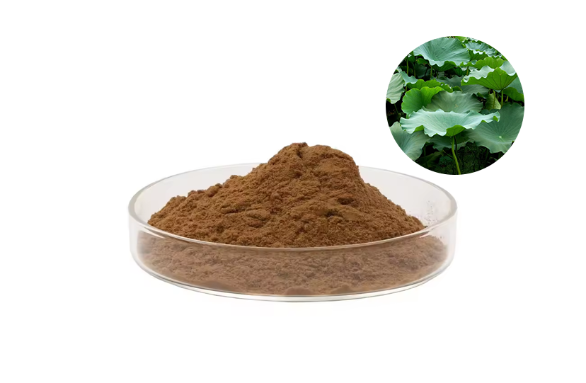 Lotus Leaf Extract